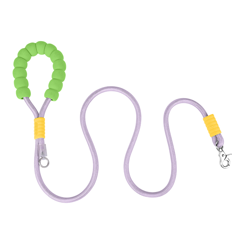 Dopamine competition-grade nylon dog leash