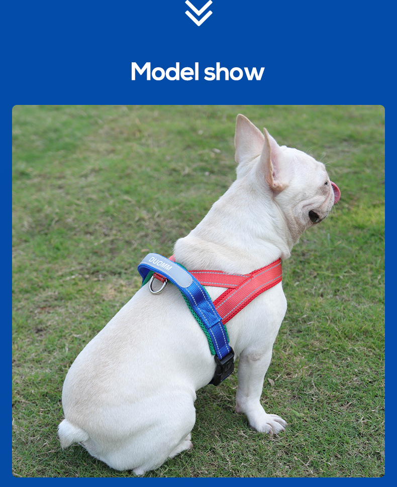 Saddle type reflective dog harness / leash