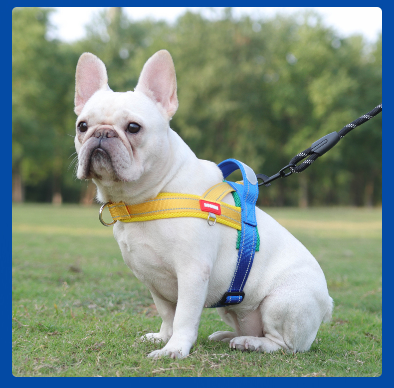 Saddle type reflective dog harness / leash