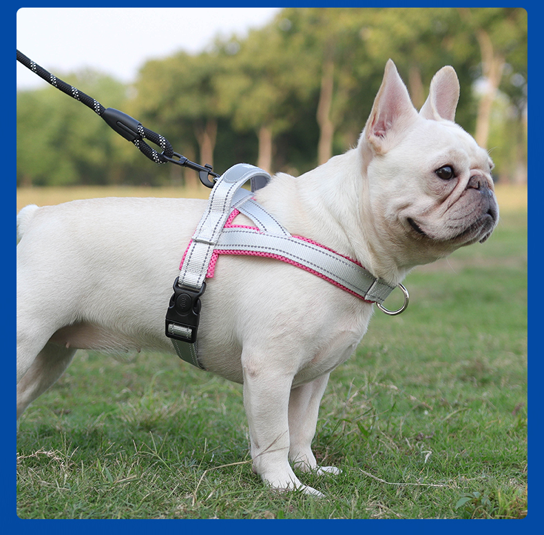 Saddle type reflective dog harness / leash