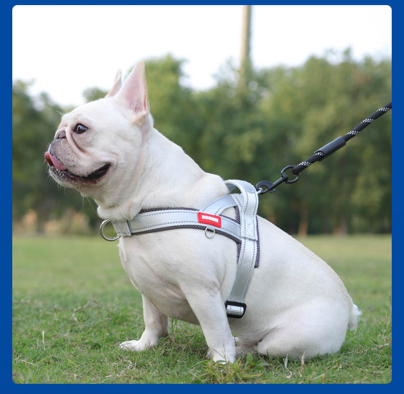 Saddle type reflective dog harness / leash