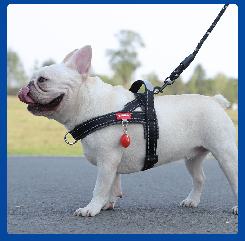Saddle type reflective dog harness / leash