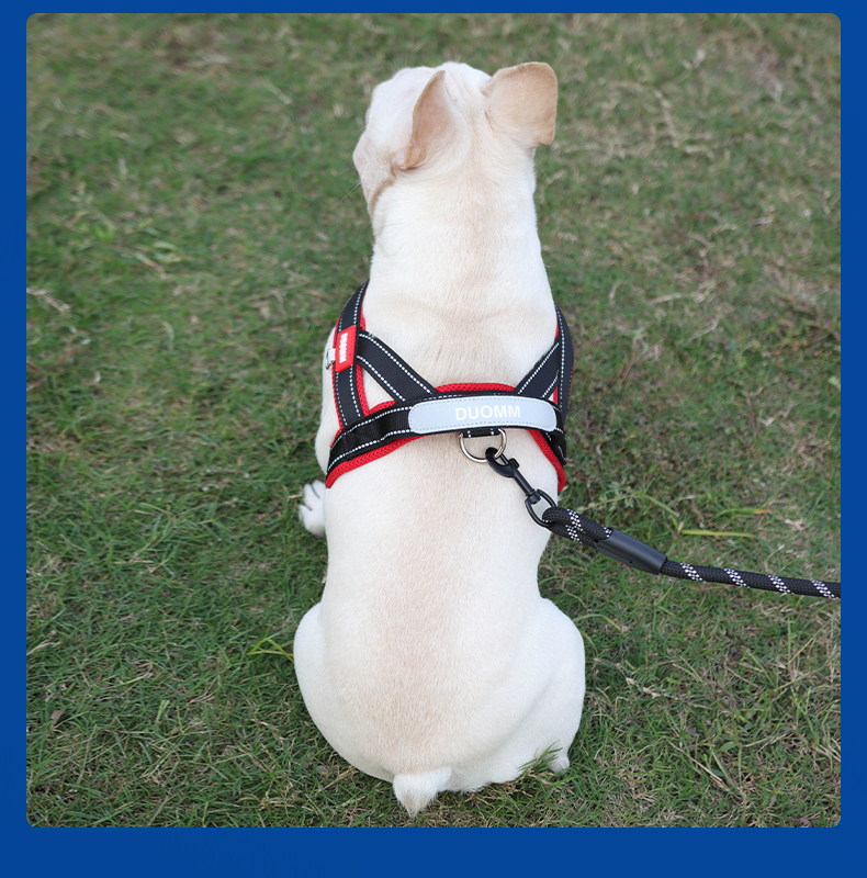 Saddle type reflective dog harness