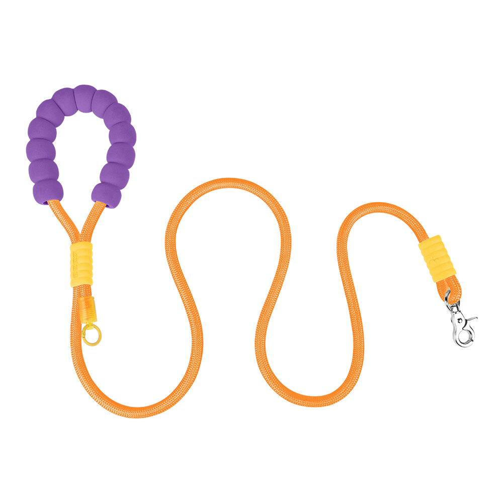 Dopamine competition-grade nylon dog leash