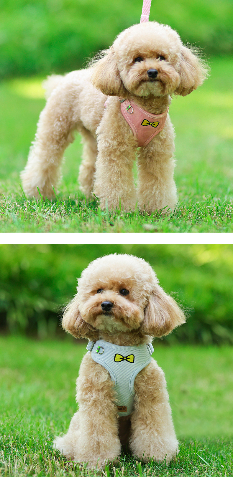 Reflective Dog Harness/ Adjustable Leash Set