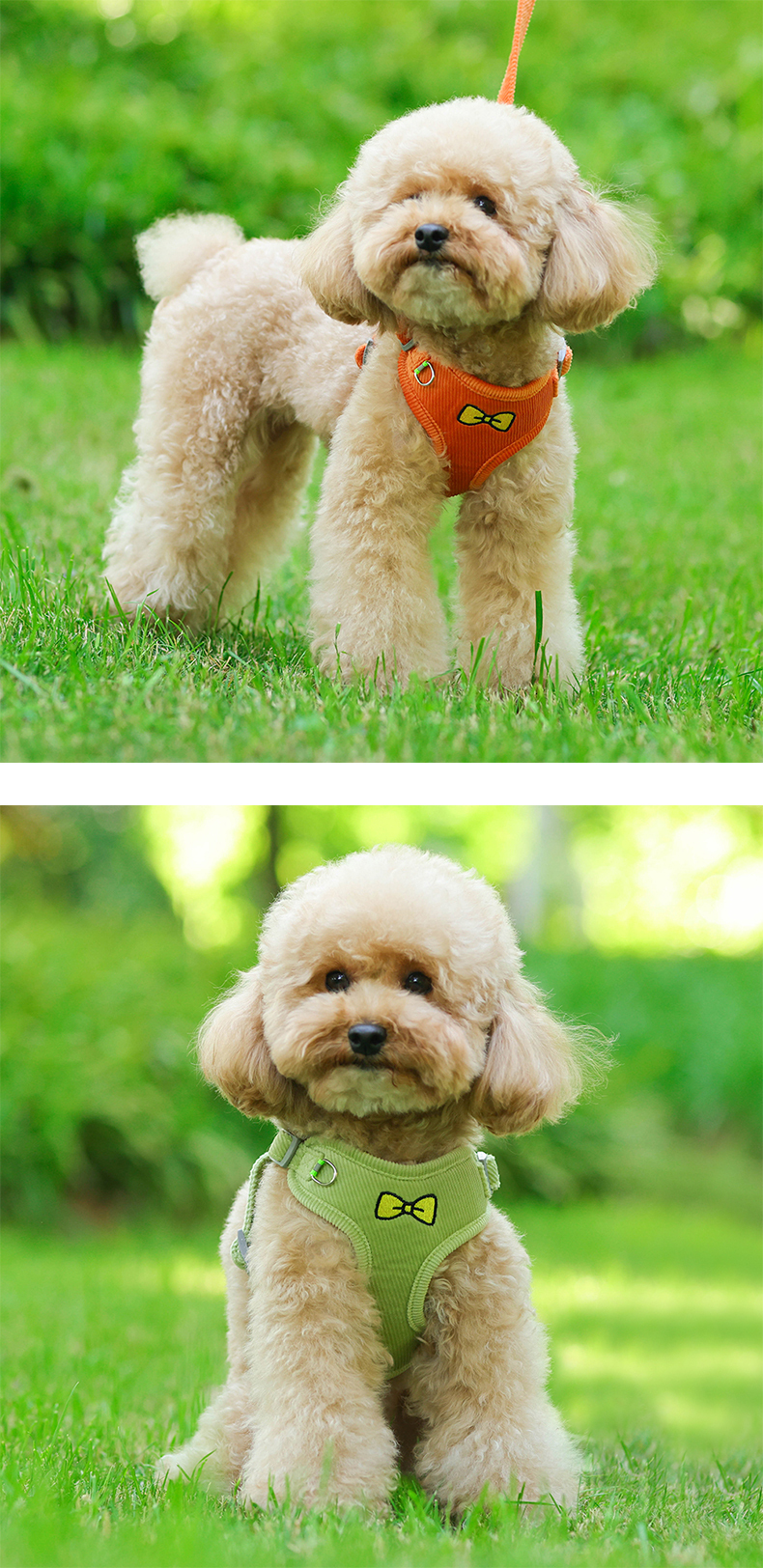 Reflective Dog Harness/ Adjustable Leash Set