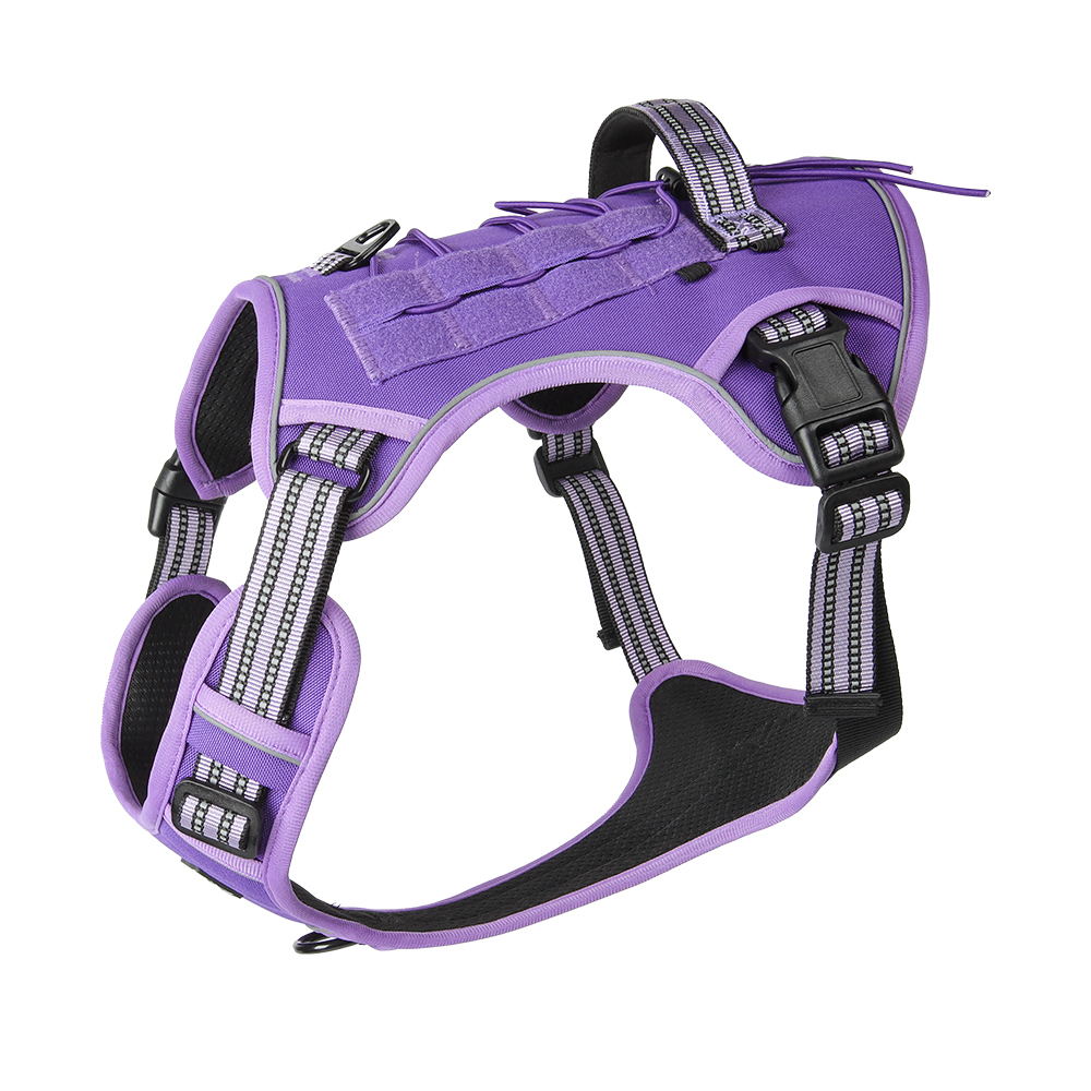 Large dog tactical harness / leash