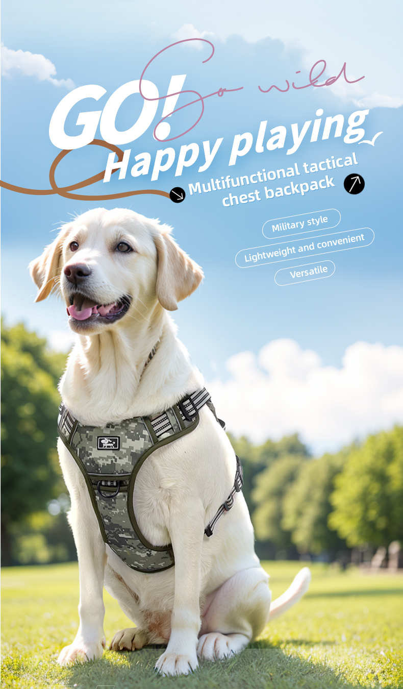 Large dog tactical harness / leash