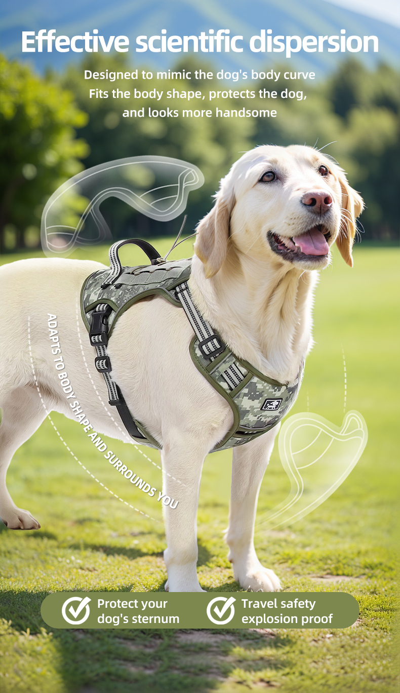 Large dog tactical harness / leash