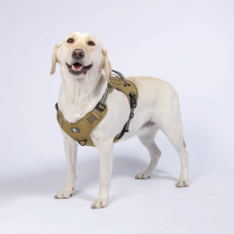 Large dog tactical harness / leash