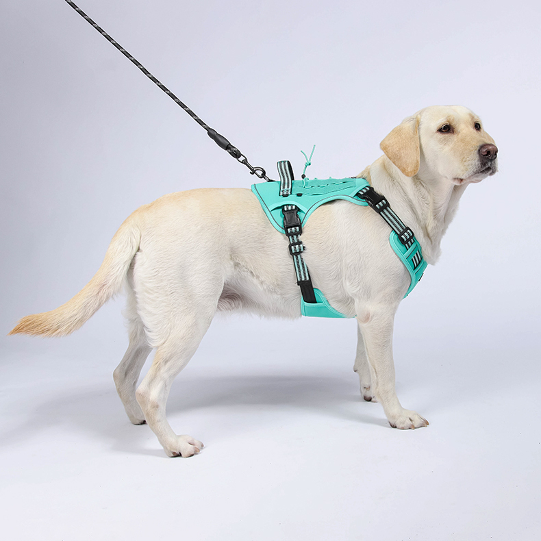 Large dog tactical harness / leash