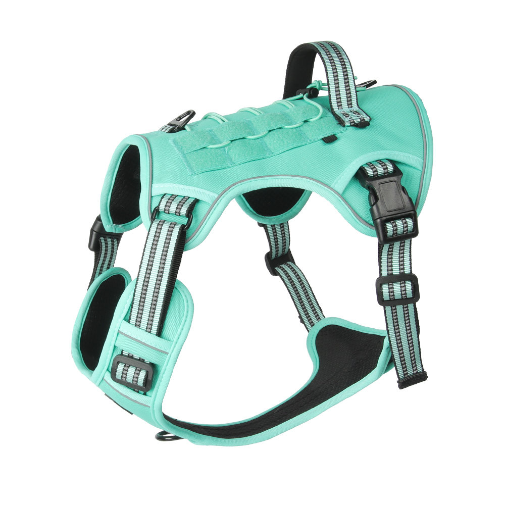 Large dog tactical harness / leash