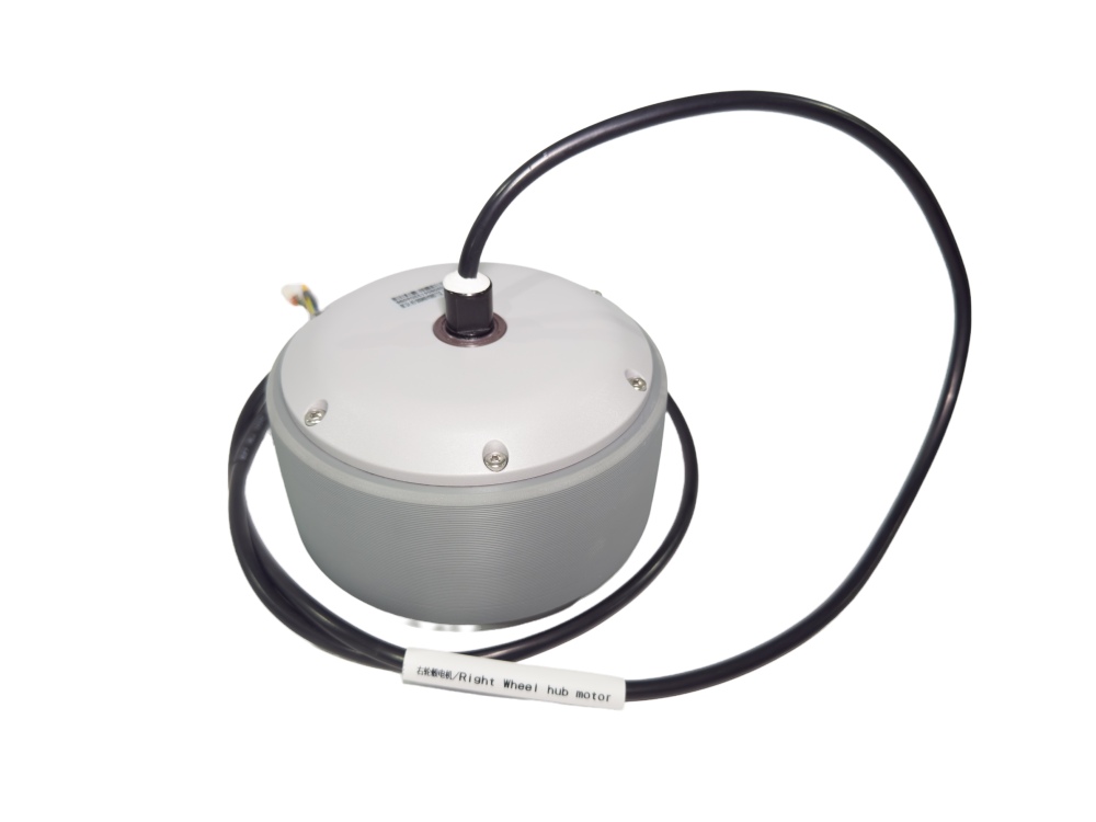 Hub Motor(R)