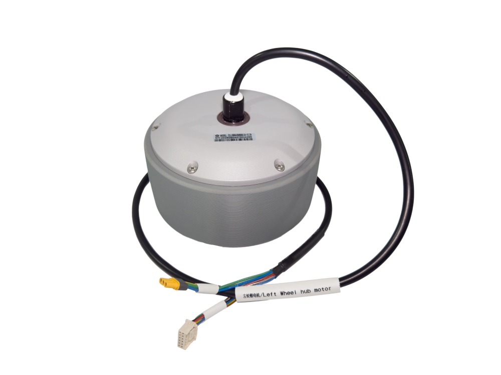 Hub Motor(L)
