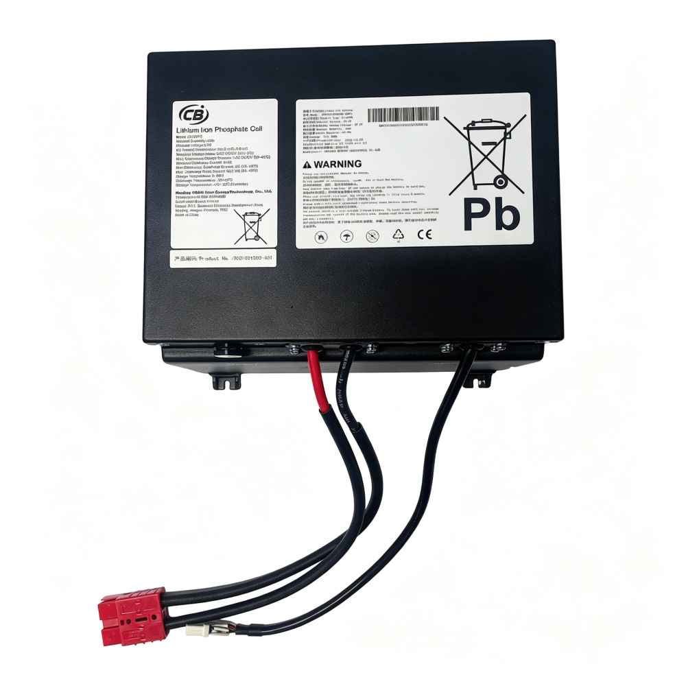 LiFePO4 Battery (Lanwei 45Ah)
