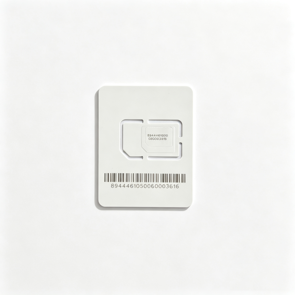 IoT SIM Plan (US, 6 Months, 10GB Data)