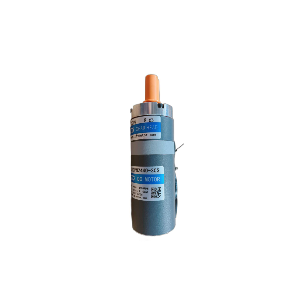 Roller Brush Motor