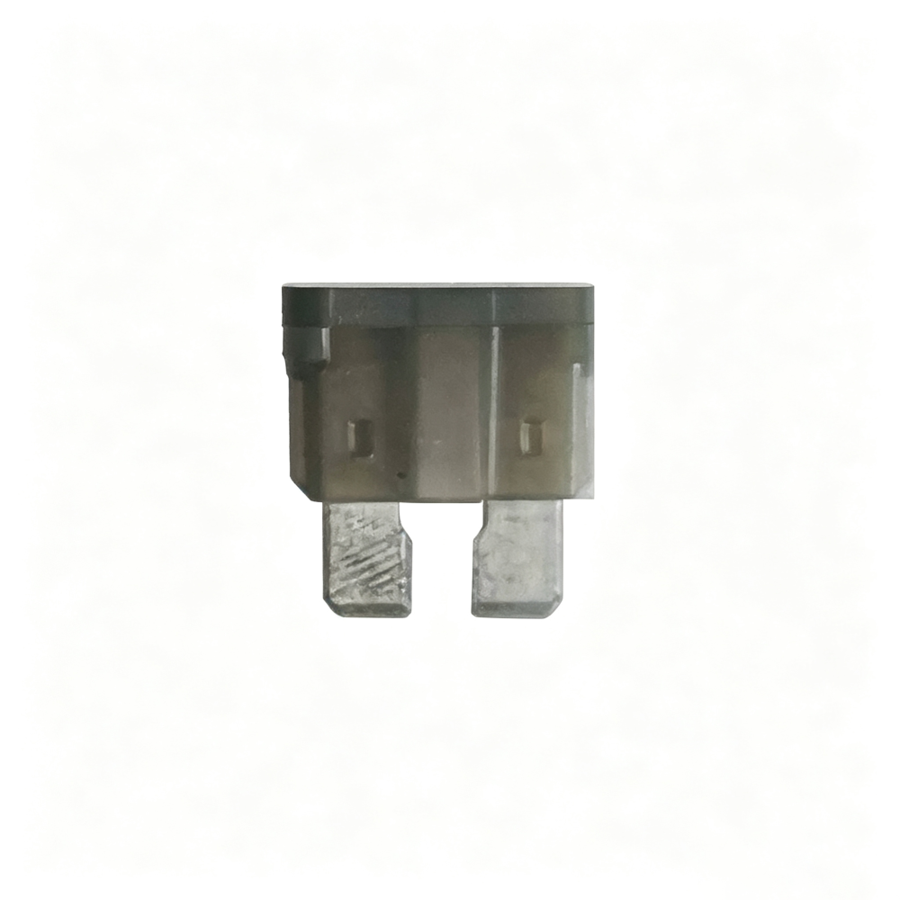 Automotive Blade Fuse (Medium, 10A, UL)