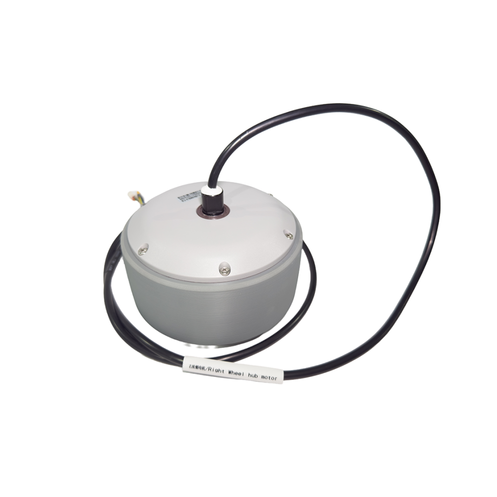 Hub Motor(R)