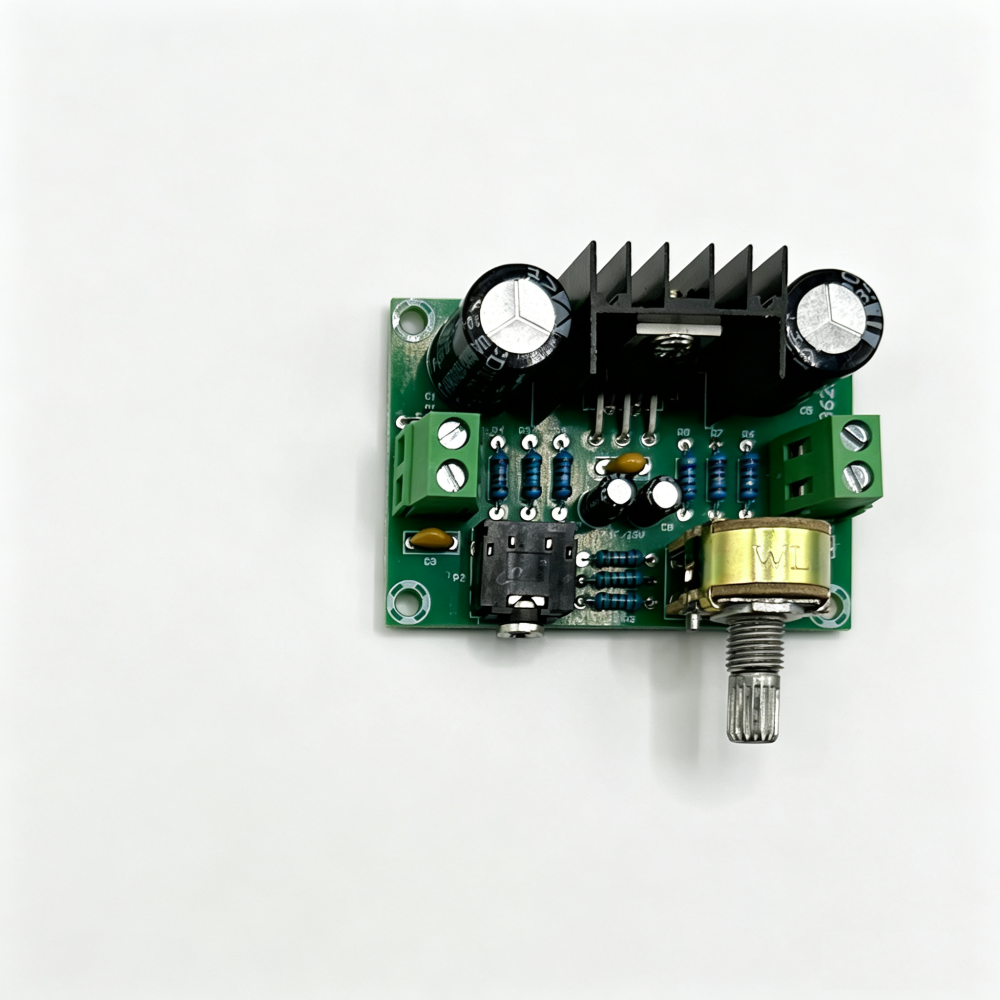 Digital Mono Audio Amplifier Board (XH-M551)