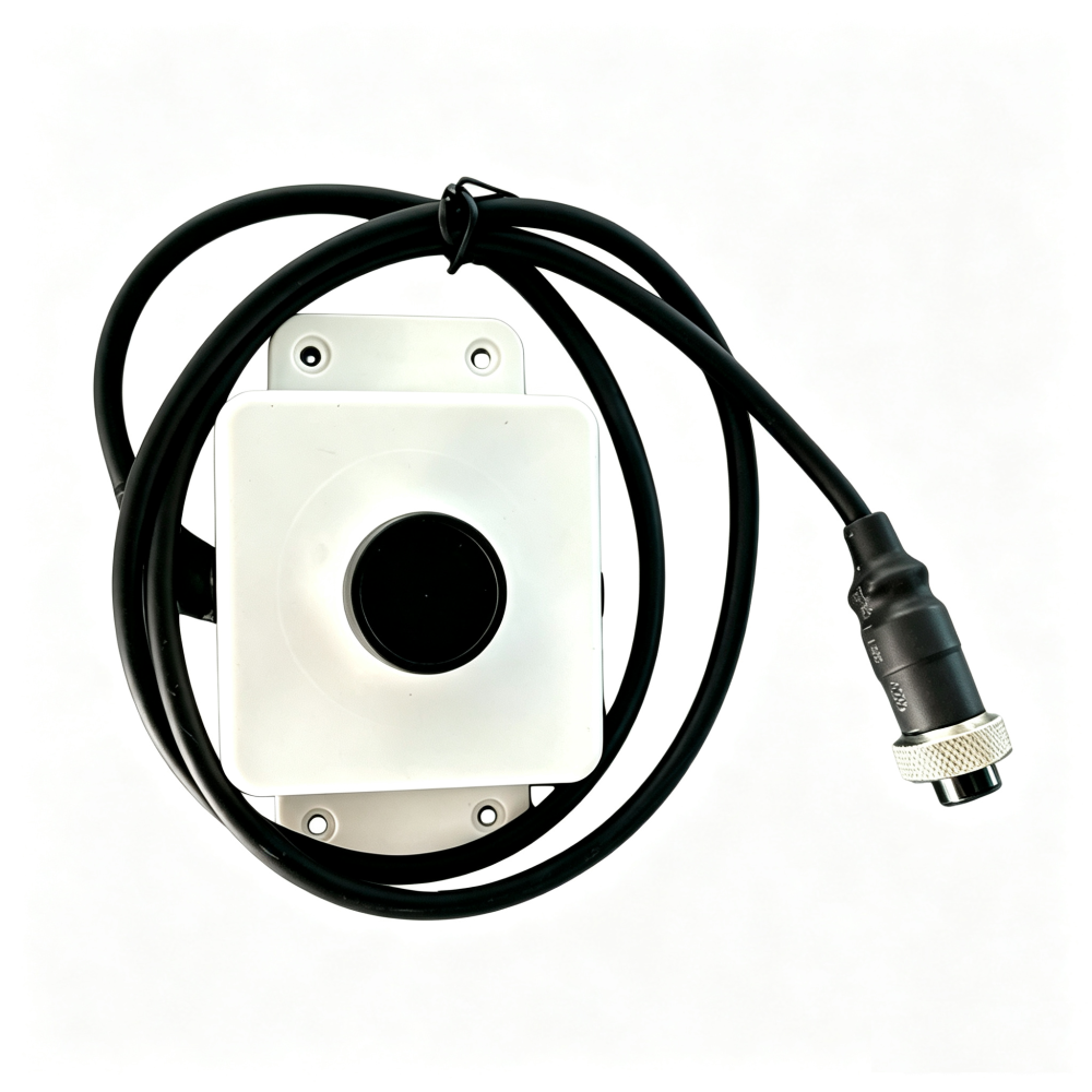 Rear Depth Camera (Middle, Color)