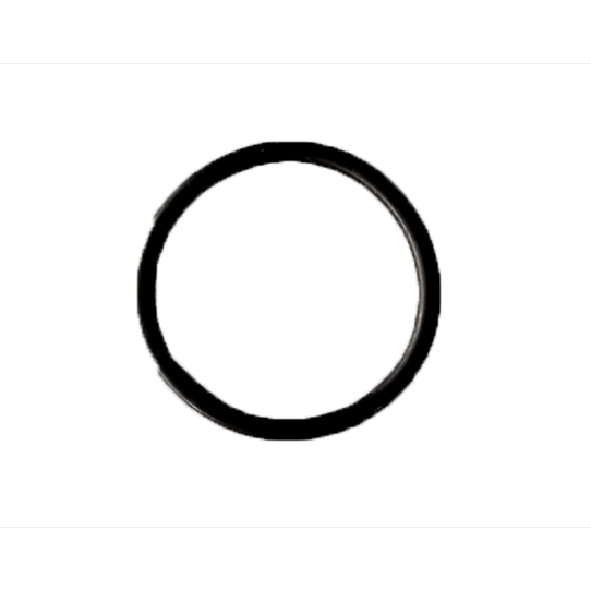 Phantas-Sealing Ring