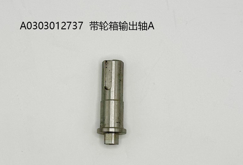带轮箱输出轴A