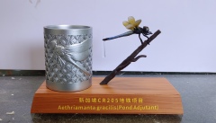 Dragonfly Sculpture Metal Pen Holder with Engraved Wood Base | Custom Souvenir for Singapore Metro Project,Dandong Maoyang International Trading Co., Ltd.,Custom Dragonfly Metal Pen Holder Commemorative Gift