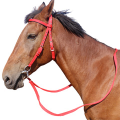 Halter,MY SHOP,Halter