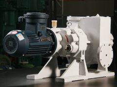 ZJC/P series Roots vacuum pumps,MY SHOP,ZJC/P series Roots vacuum pumps
