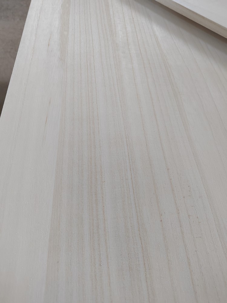 Paulownia 实拍图 8