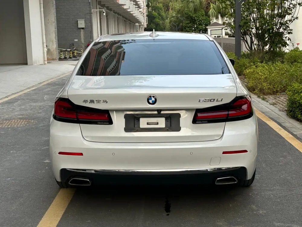 BMW BMW 5 Series 2021 530Li Leading Luxury Package