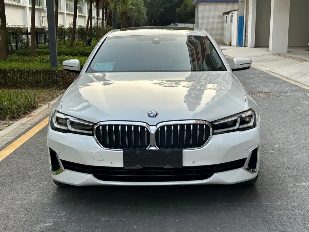 BMW BMW 5 Series 2021 530Li Leading Luxury Package