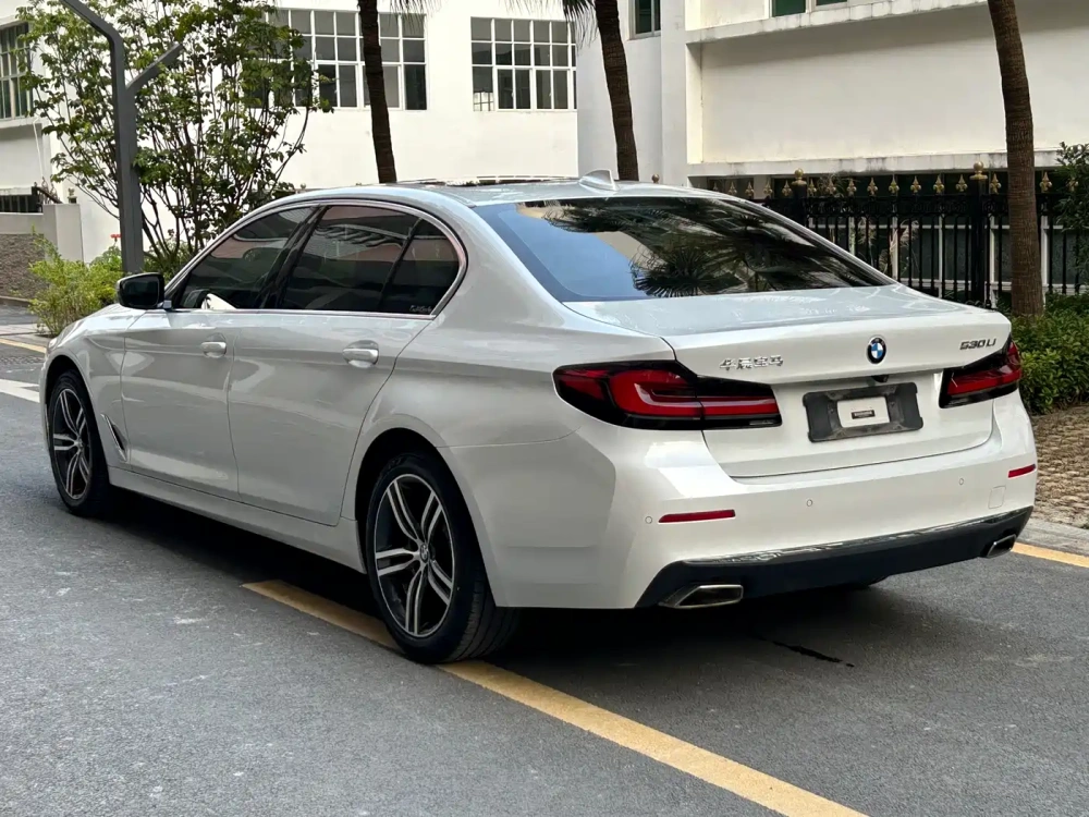 BMW BMW 5 Series 2021 530Li Leading Luxury Package