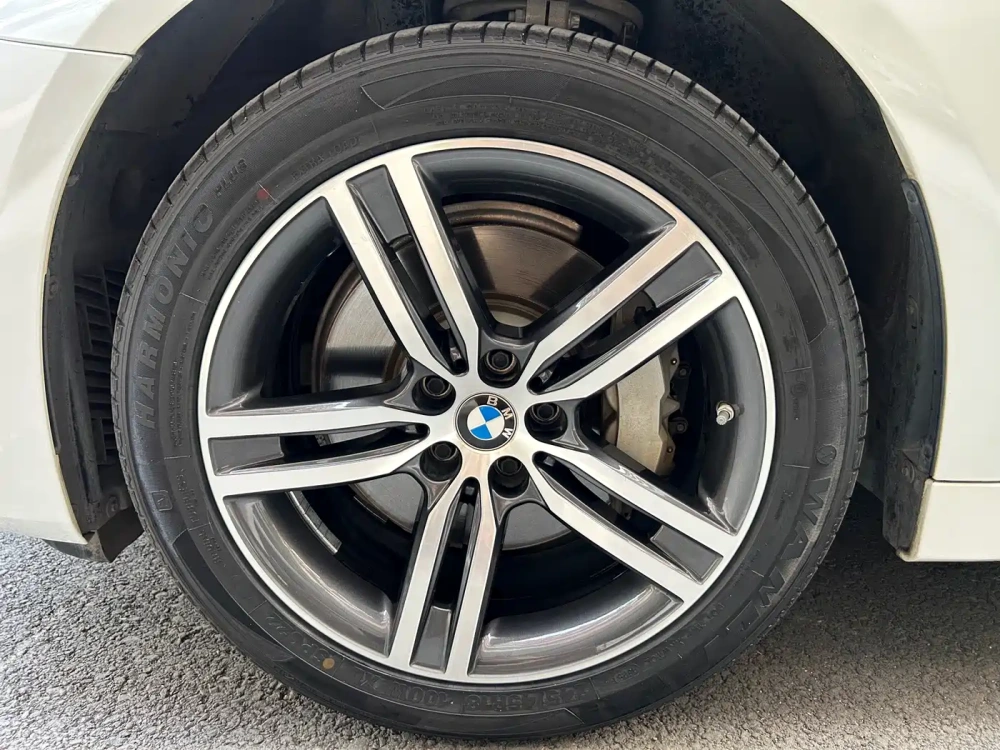 BMW BMW 5 Series 2021 530Li Leading Luxury Package