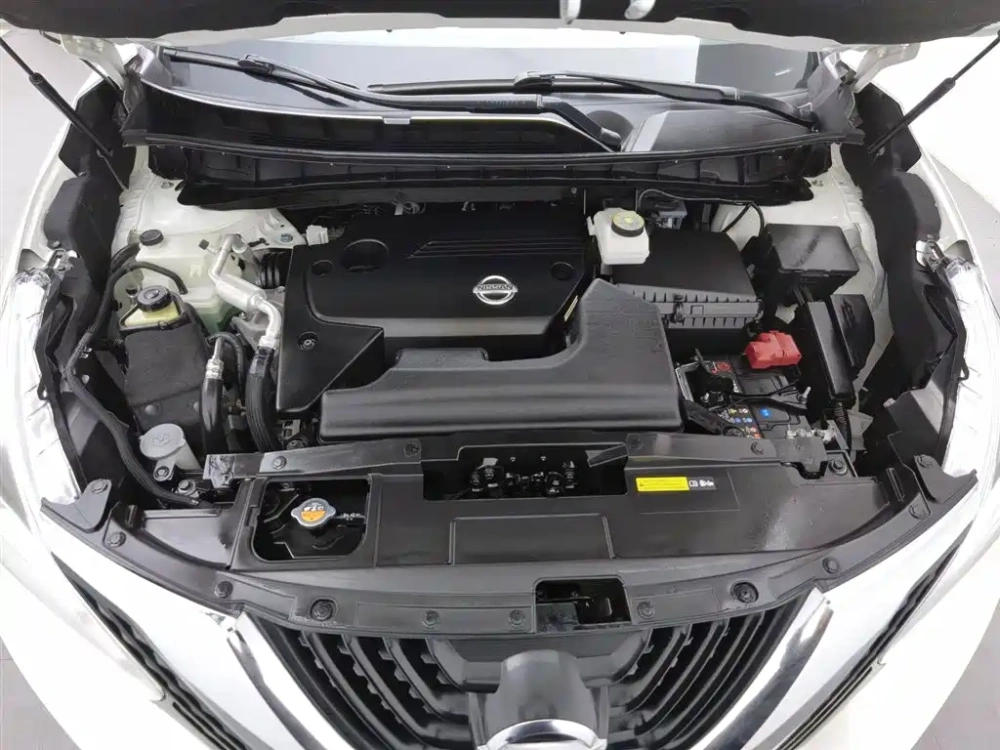 Nissan Murano 2019 2.5L XL 2WD Smart Connect Luxury (China V)