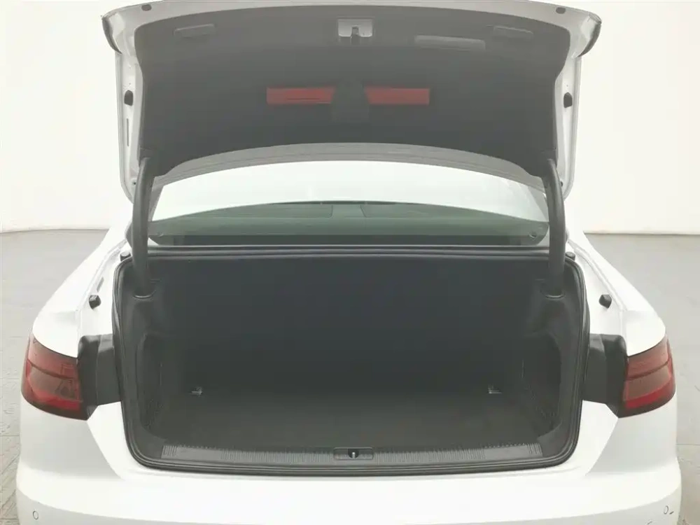 Audi Audi A4L 2019 40 TFSI Fashion (China VI)