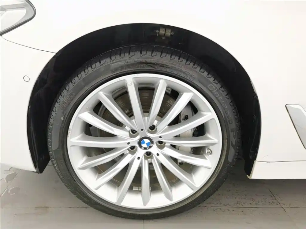 BMW BMW 5 Series 2022 Model Third Facelift 530Li Premium Luxury Package