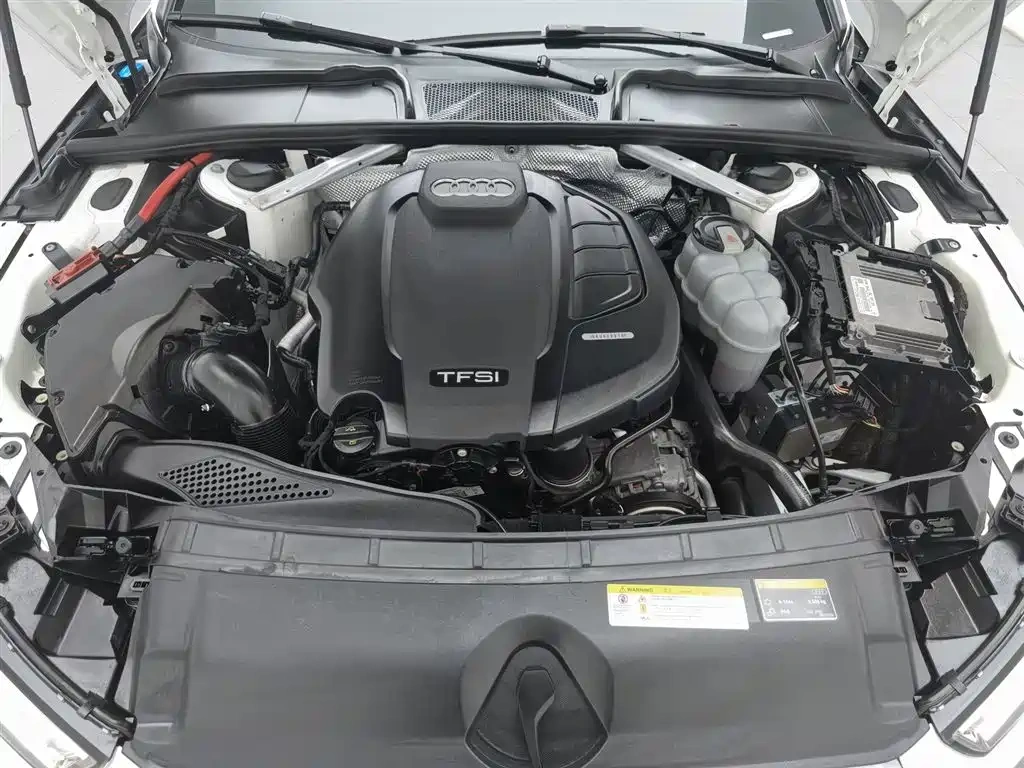 Audi Audi A4L 2019 40 TFSI Fashion (China VI)