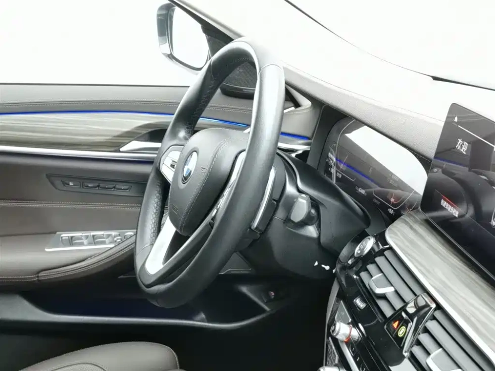 BMW BMW 5 Series 2022 Model Third Facelift 530Li Premium Luxury Package