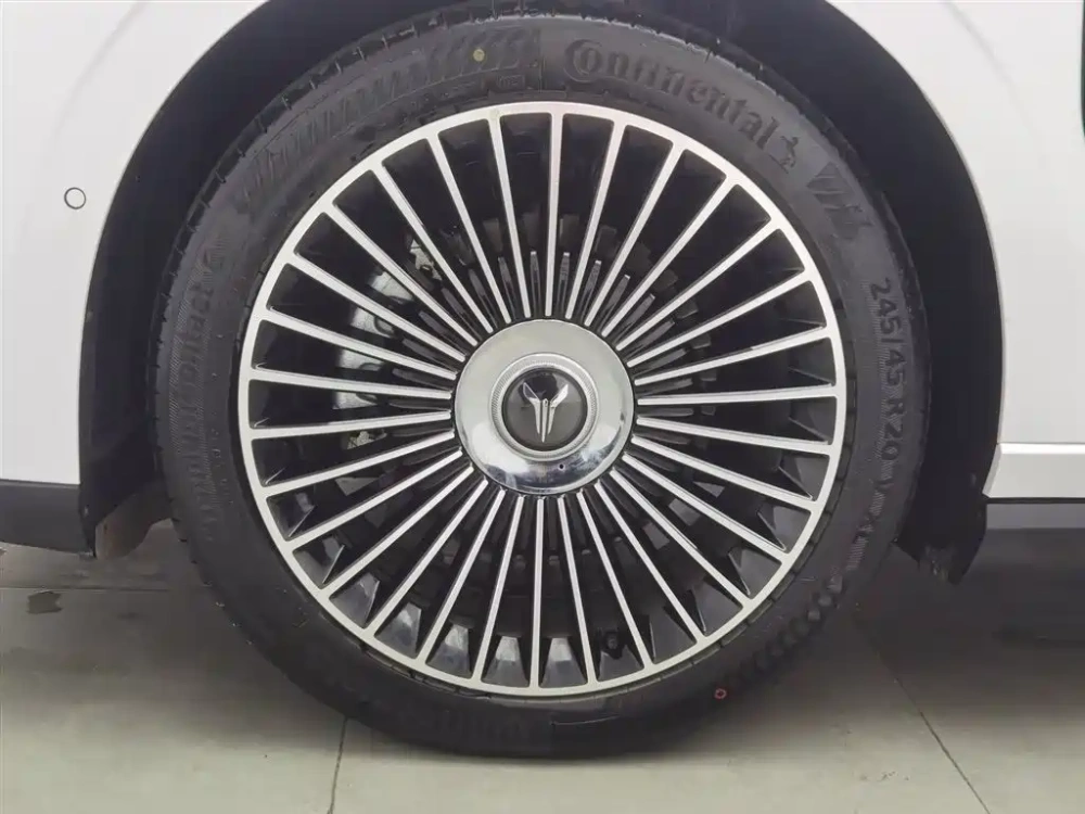 Voyah Auto VOYAH Zhuiguang L 2025 Mid-configuration Model