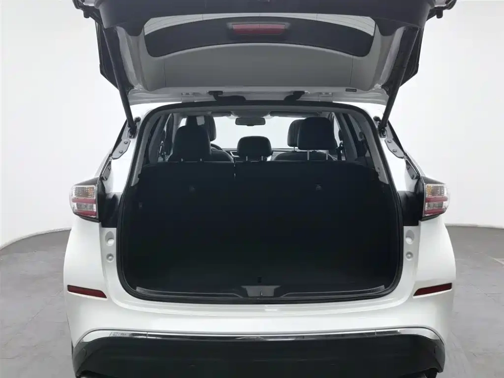 Nissan Murano 2019 2.5L XL 2WD Smart Connect Luxury (China V)