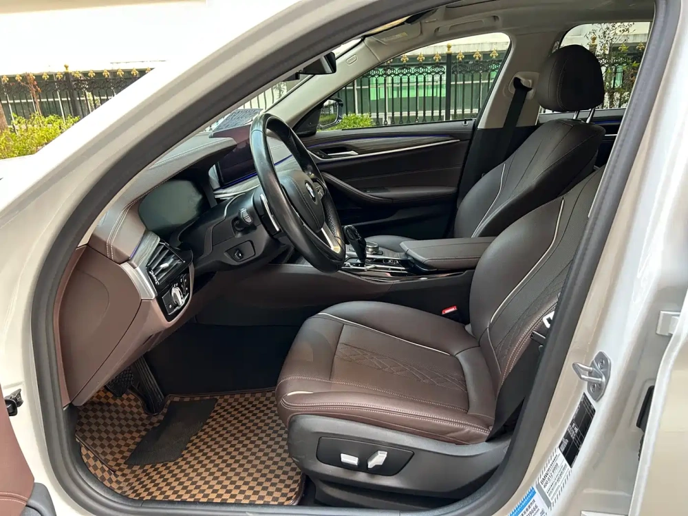 BMW BMW 5 Series 2021 530Li Leading Luxury Package
