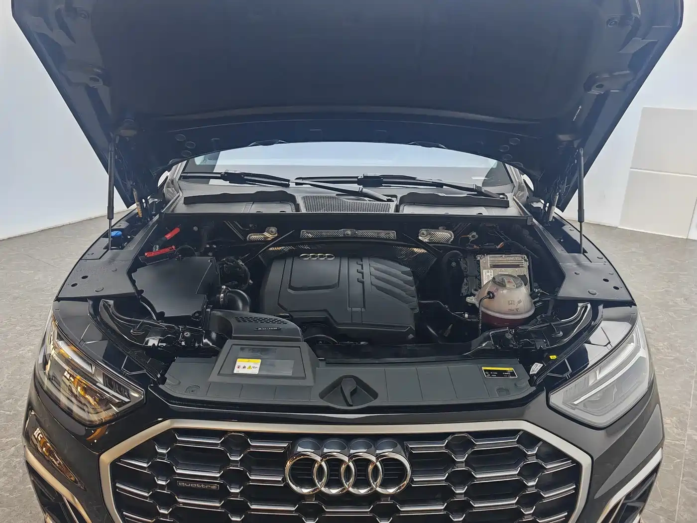 Audi Audi Q5L 2023 40T Fashion Dynamic