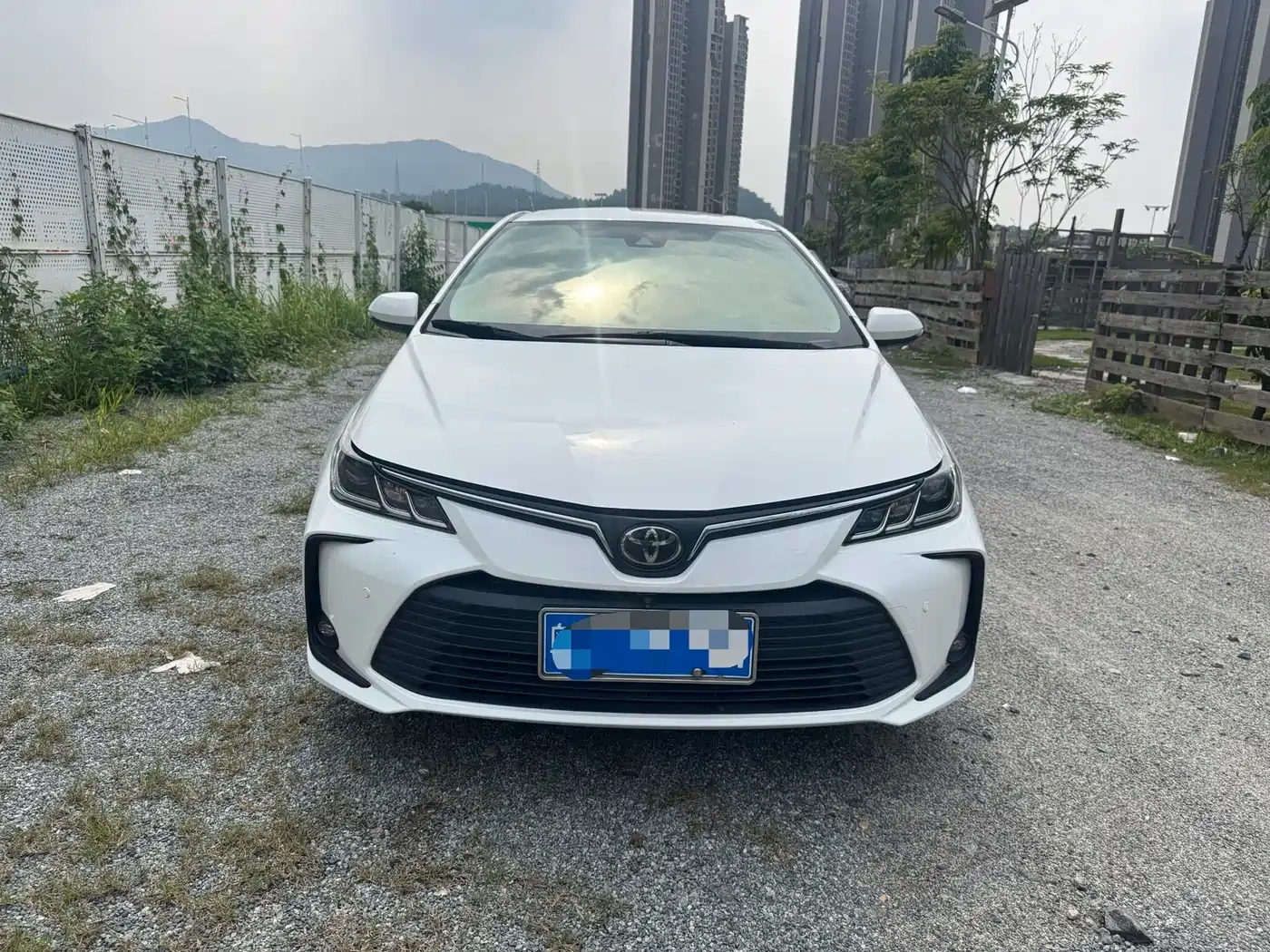 Toyota Corolla 2021 1.2T S-CVT Pioneer PLUS Edition