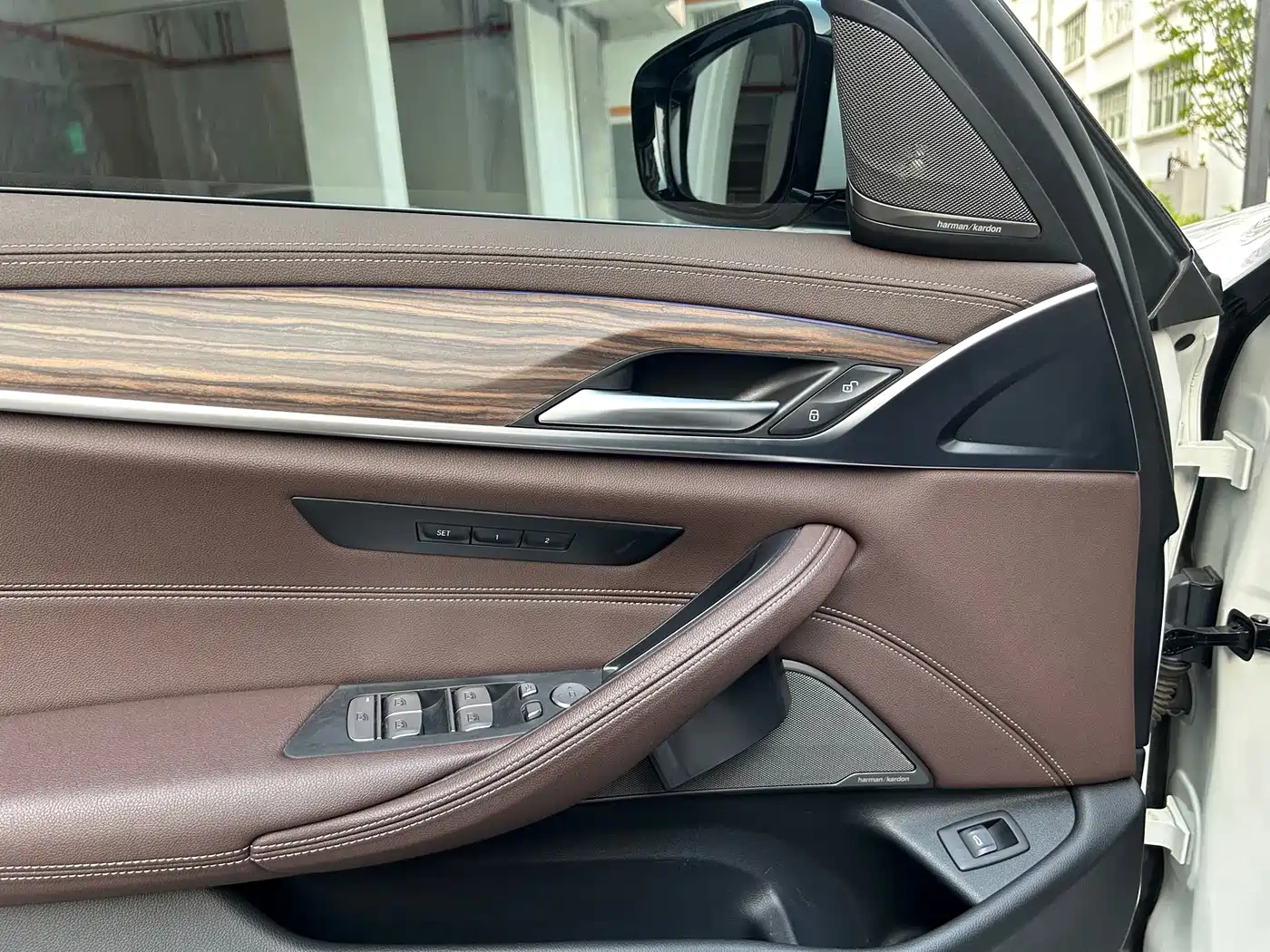 BMW BMW 5 Series 2021 530Li Leading Luxury Package