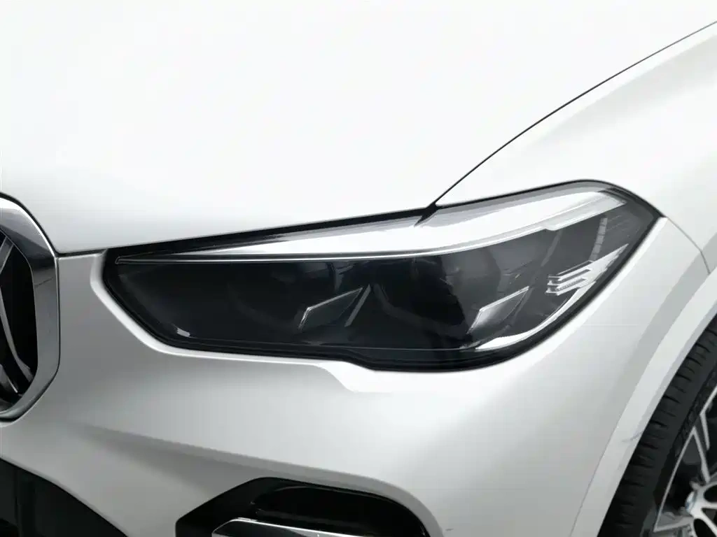 BMW BMW X5 2022 xDrive 30Li M Sport Package