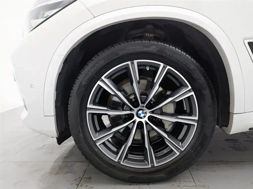 BMW BMW X5 2022 xDrive 30Li M Sport Package