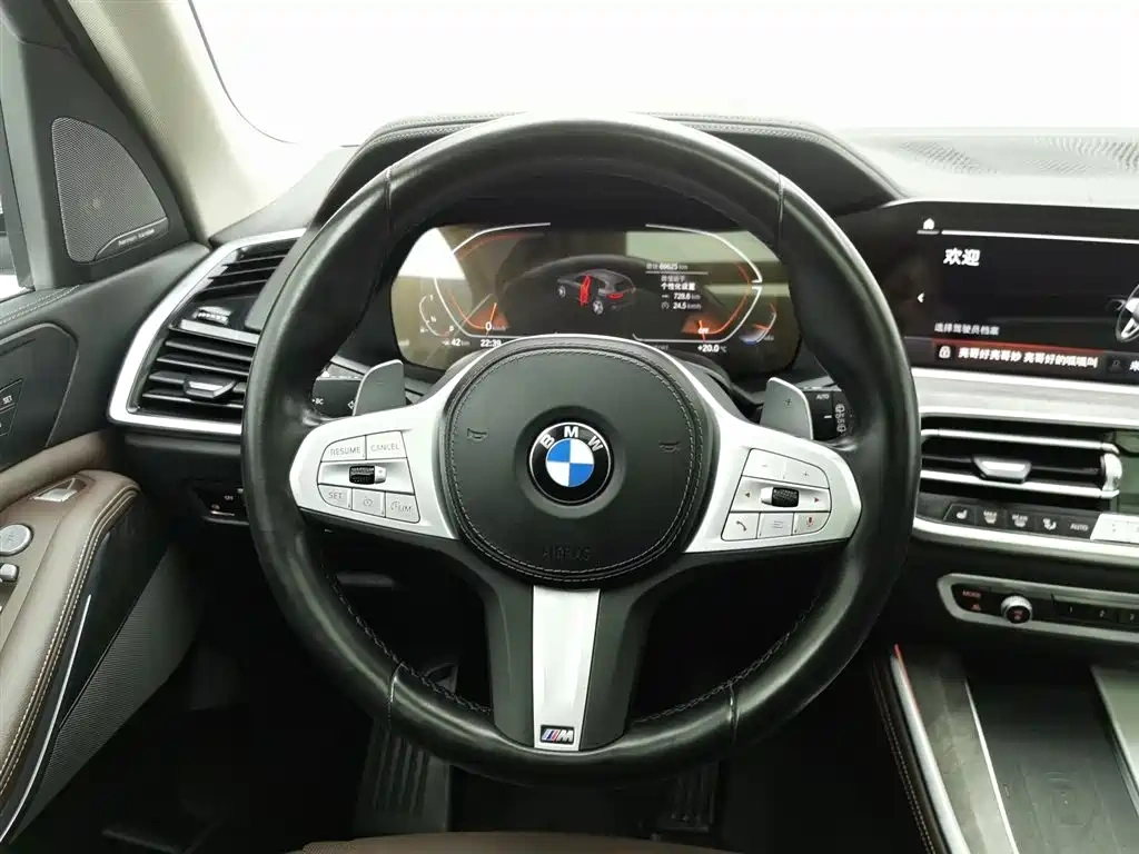BMW BMW X5 2022 xDrive 30Li M Sport Package