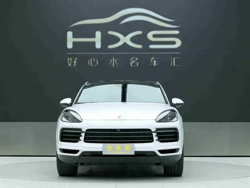 Porsche Cayenne 2023 Cayenne Coupé 3.0T Platinum Edition